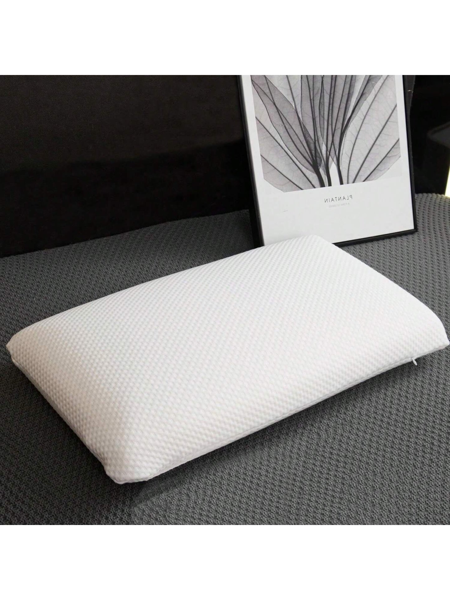 Homehours Natural Talalay Latex Pillows for Comfortable Sleeping,Neck Pain Relief,Not a Queen27.5" x 15.7" x 5.5"Medium Firmness