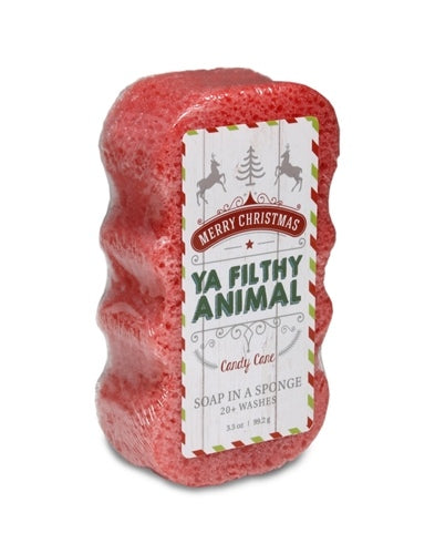 Caren® Soap Sponge