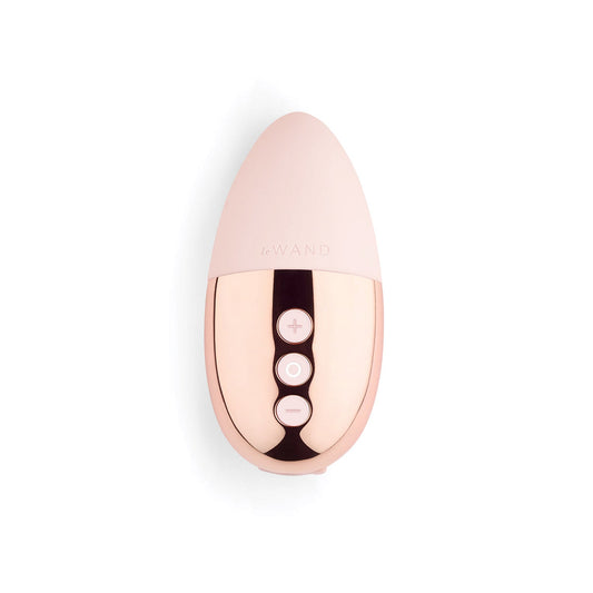 Le Wand Point Vibrator